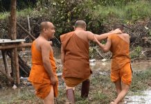 เจ้าอาวาสฟื้นฟูนาร้าง 20 ปี พลิกดินปลูกข้าวพันธุ์ชัยนาทได้ผลดีเกิดคาด