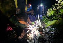 ช้างป่าโหดกระทืบพรานป่าดับอนาจ ร่วม 6 ชม.กู้ศพออกพ้นป่าหฤโหดนี้ได้ (ชมคลิป)